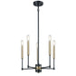 LIVINGSTON 17'' WIDE 5-LIGHT CHANDELIER - FREE SHIPPING !!!