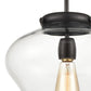 AMORE 12'' WIDE 1-LIGHT PENDANT  -  FREE SHIPPING !!!