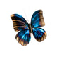 COPPER ART - BLUE MORPHO SINGLE