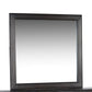 MONTANA MIRROR, BROWN