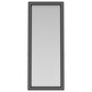 Windrose 28 x 67 Inch Tempered LED Standing Mirror Black