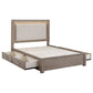 Kenora 56-inch Eastern King LED Storage Bed Barley Brown