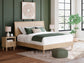 Cielden King Panel Bed with Mirrored Dresser, Chest and 2 Nightstands