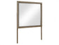 Sonoma 44" Framed Mirror, Cocoa Gray Oak Finish With Mounting Brackets