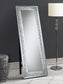 Carisi 22 x 61 Inch Crystal Acrylic Standing Mirror Silver